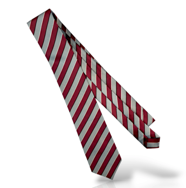 City Public Boys Tie