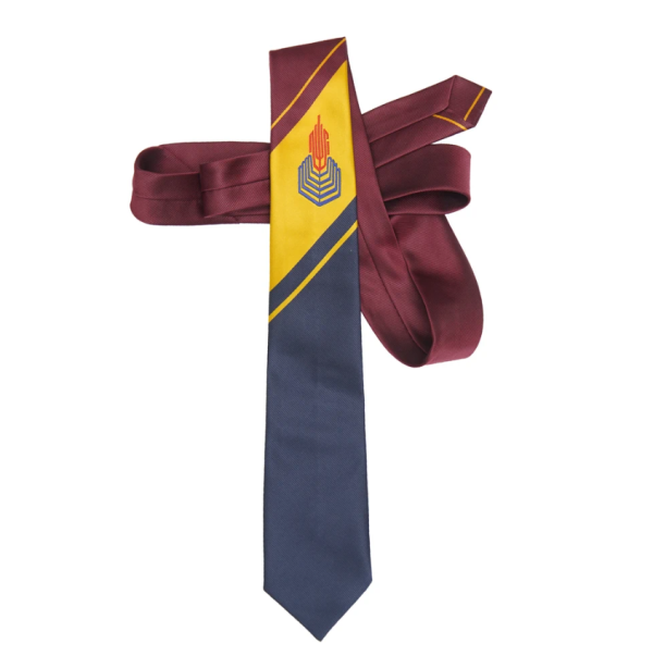 Punjab College Boys Tie